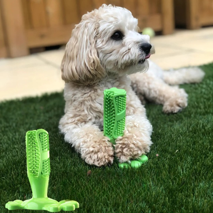 ChewBrush™ - Brinquedo para cães e escova de dentes num só!